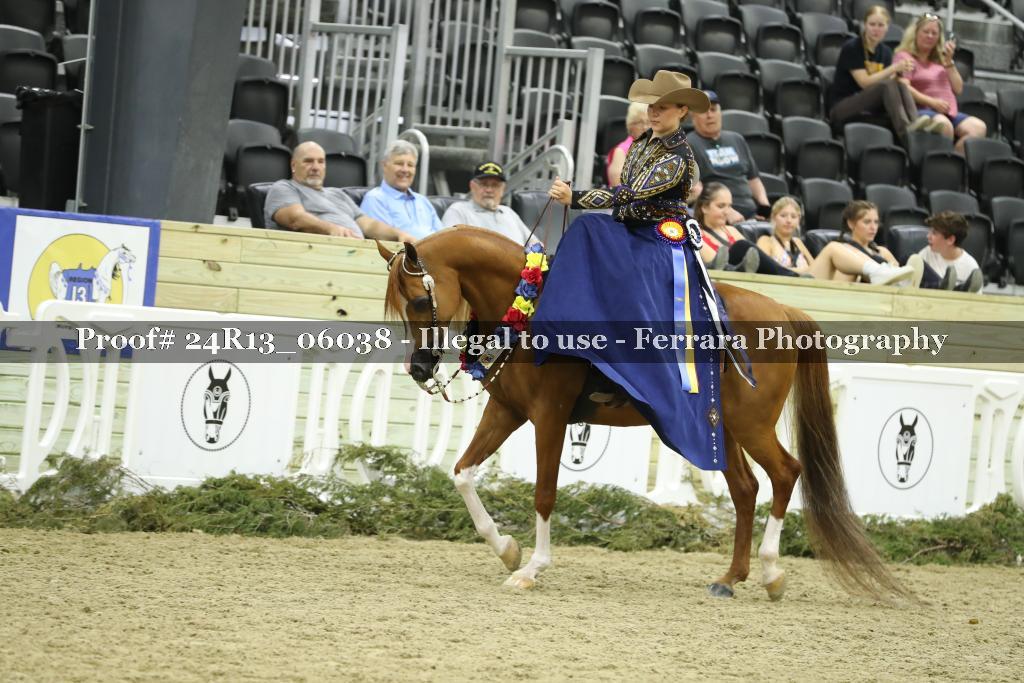 Proof Number 24R13_06038