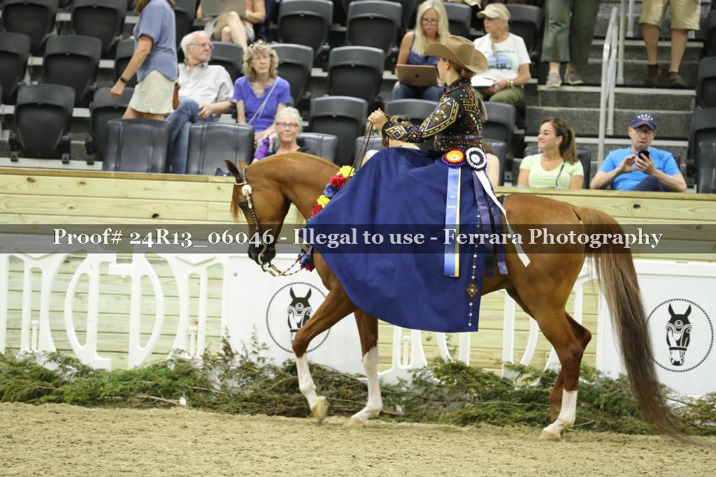 Proof Number 24R13_06046