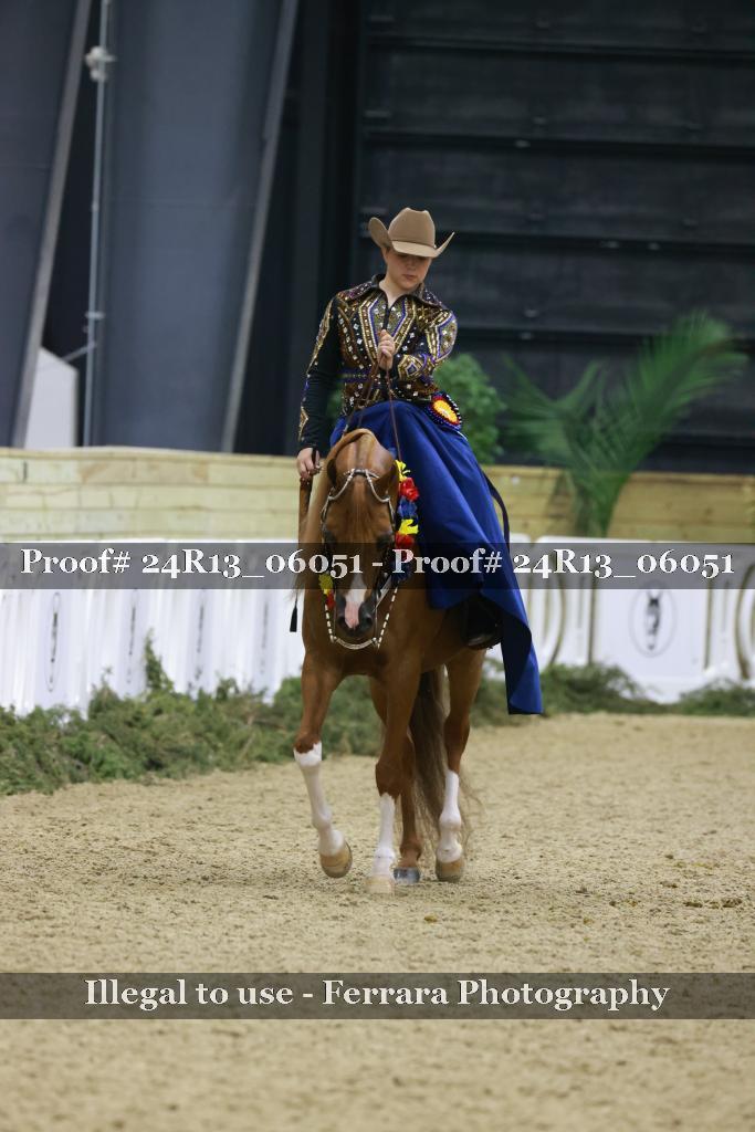Proof Number 24R13_06051