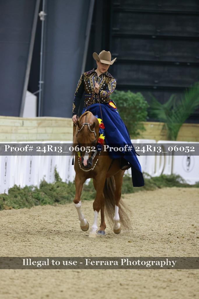 Proof Number 24R13_06052