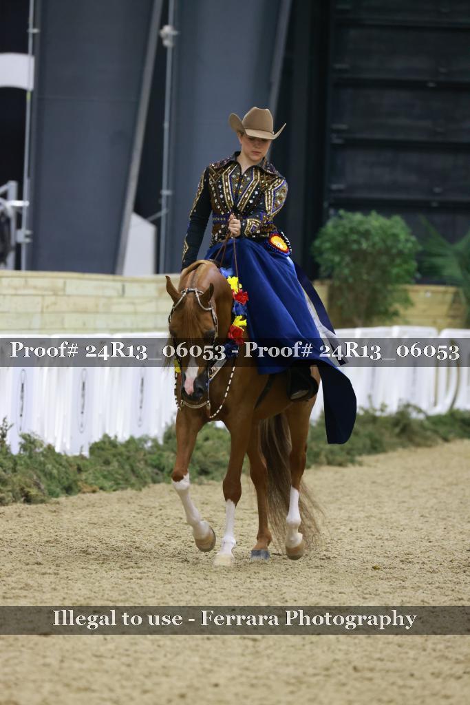 Proof Number 24R13_06053
