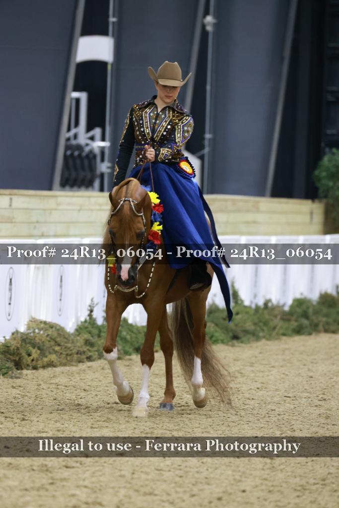 Proof Number 24R13_06054