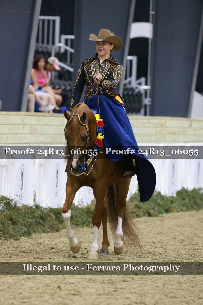Proof Number 24R13_06055