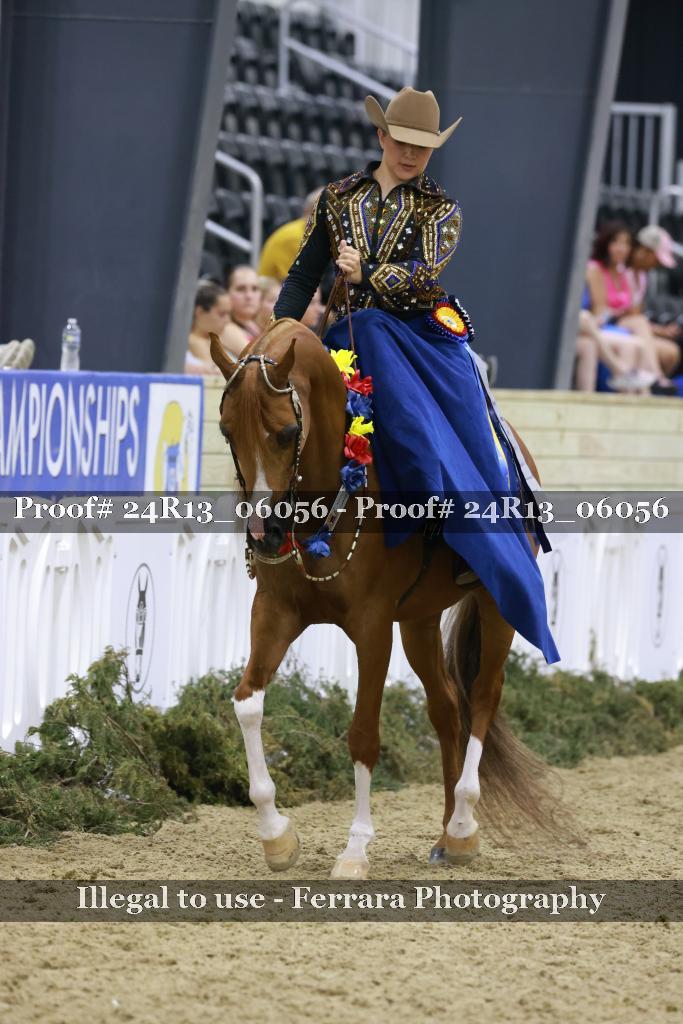 Proof Number 24R13_06056