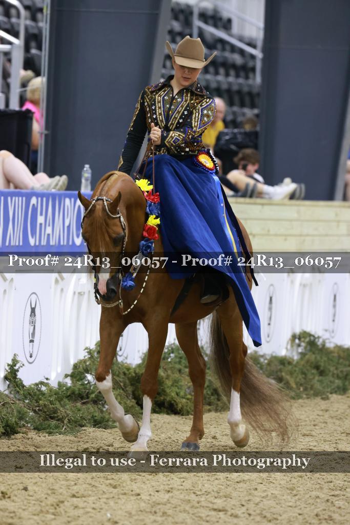 Proof Number 24R13_06057