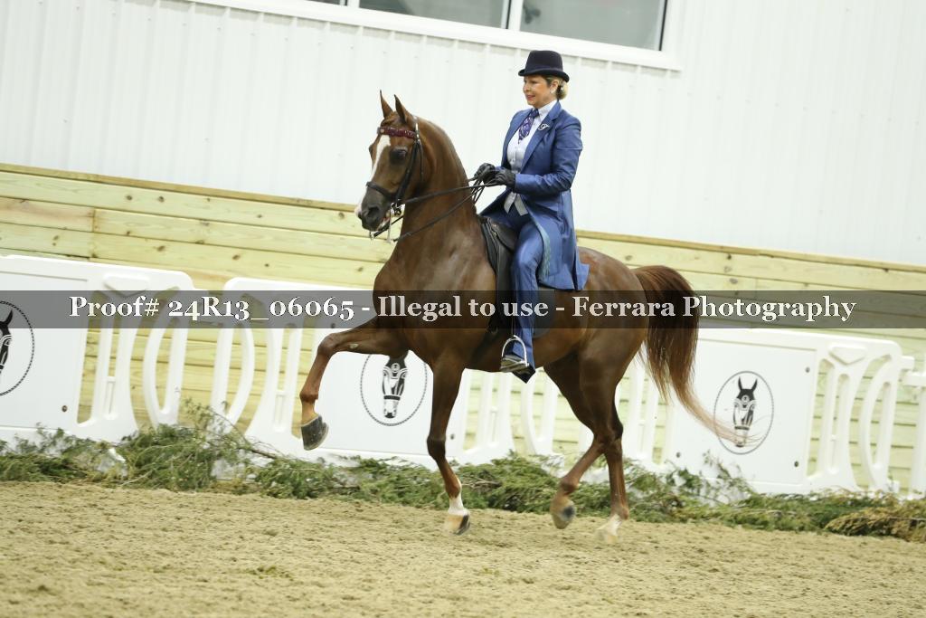 Proof Number 24R13_06065