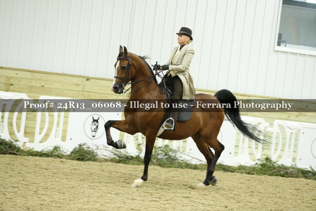 Proof Number 24R13_06068