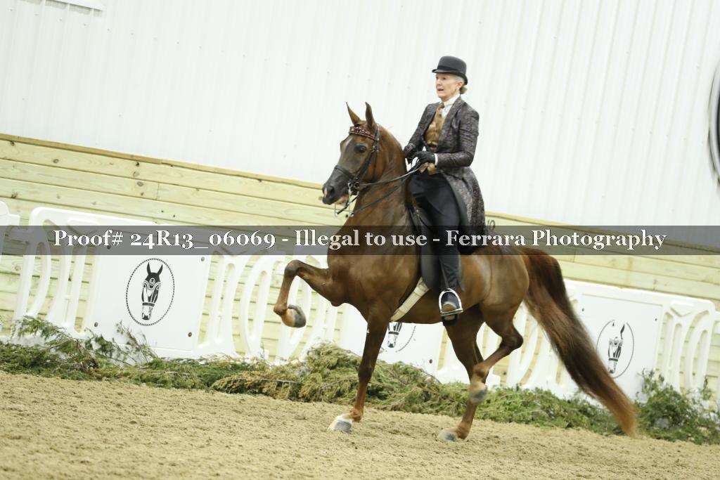 Proof Number 24R13_06069