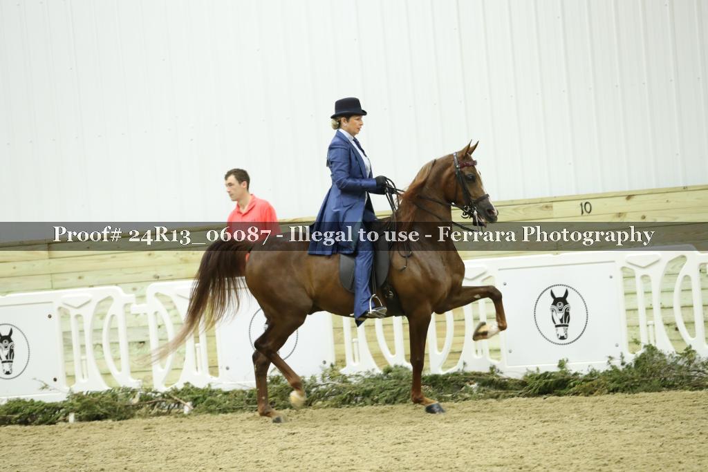Proof Number 24R13_06087