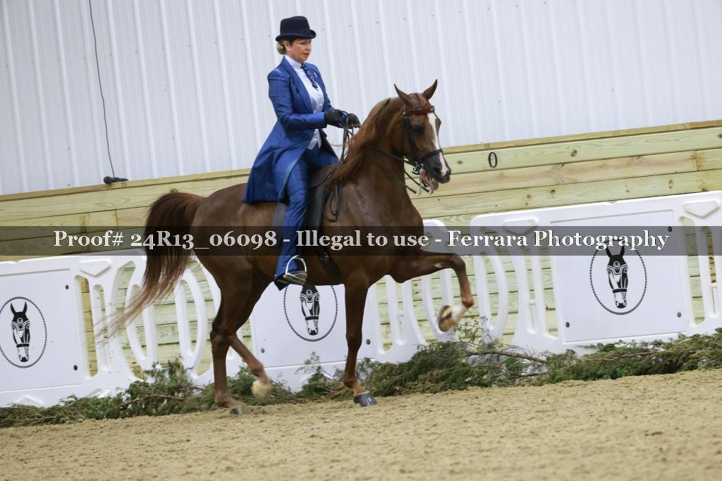 Proof Number 24R13_06098