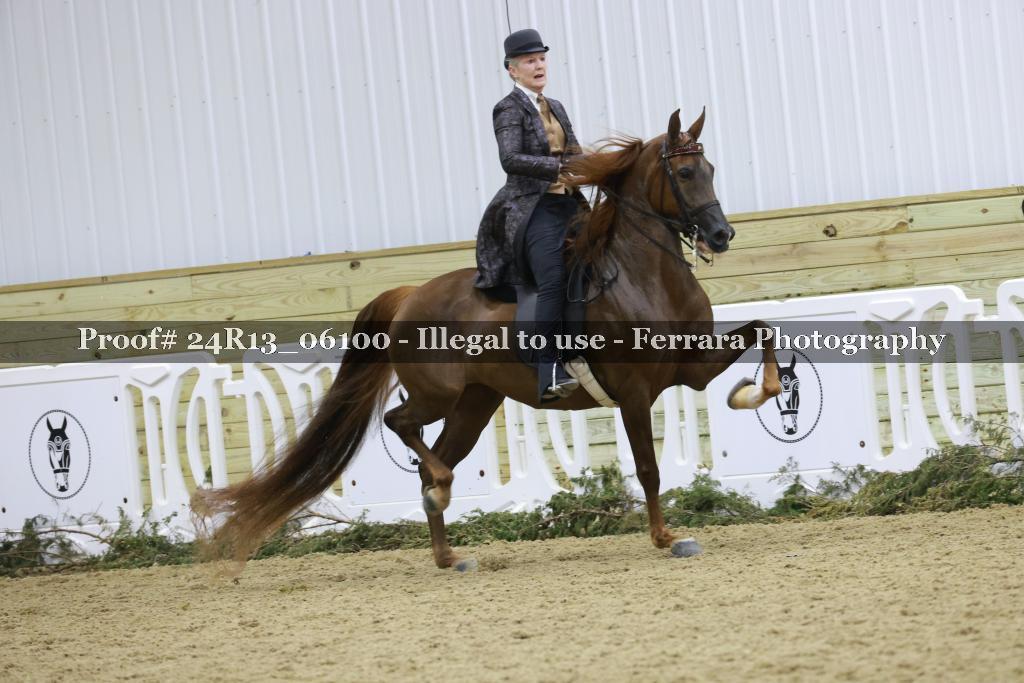 Proof Number 24R13_06100