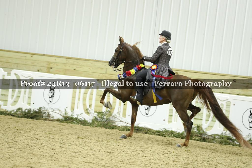 Proof Number 24R13_06117
