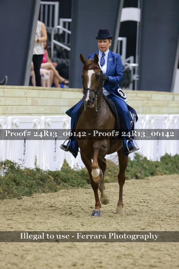 Proof Number 24R13_06142