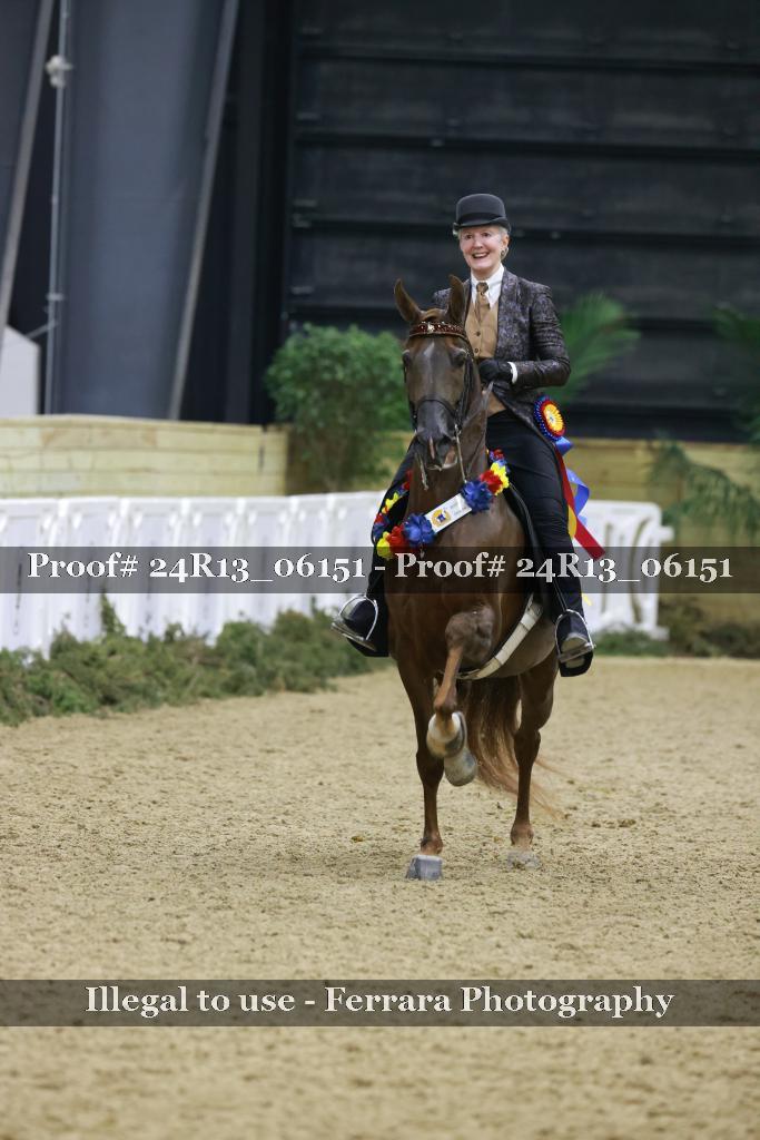 Proof Number 24R13_06151