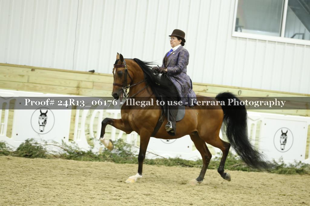 Proof Number 24R13_06176