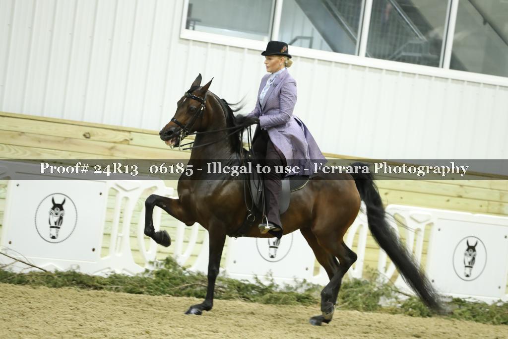 Proof Number 24R13_06185