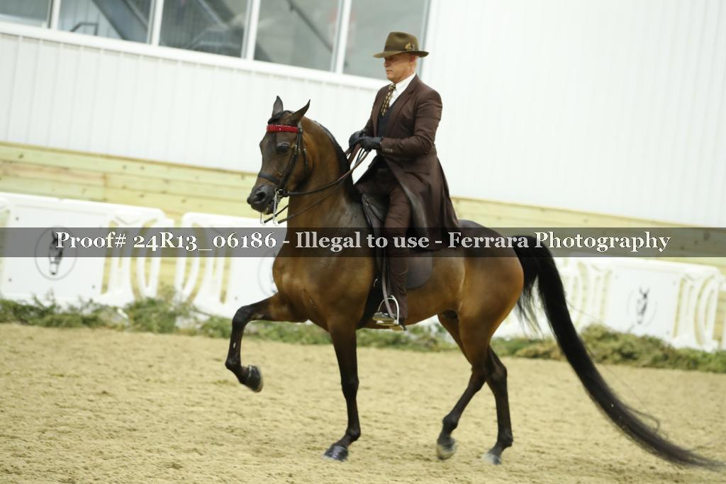 Proof Number 24R13_06186