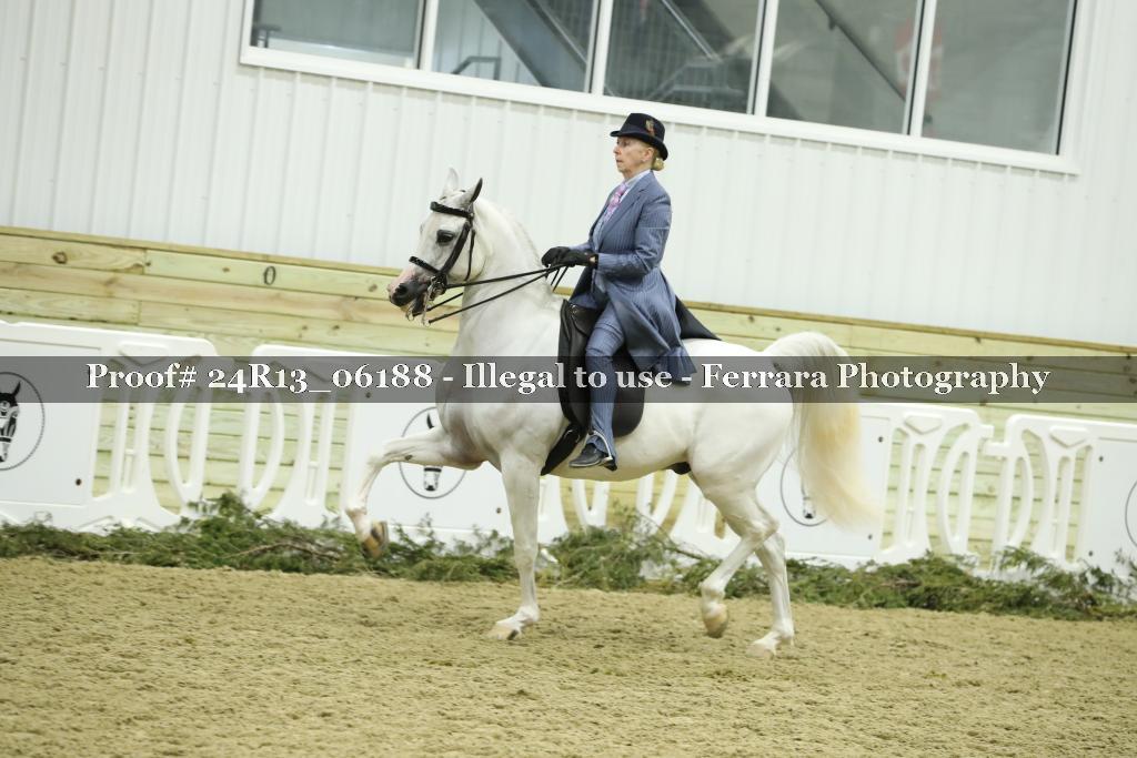 Proof Number 24R13_06188