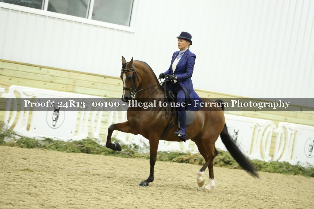 Proof Number 24R13_06190
