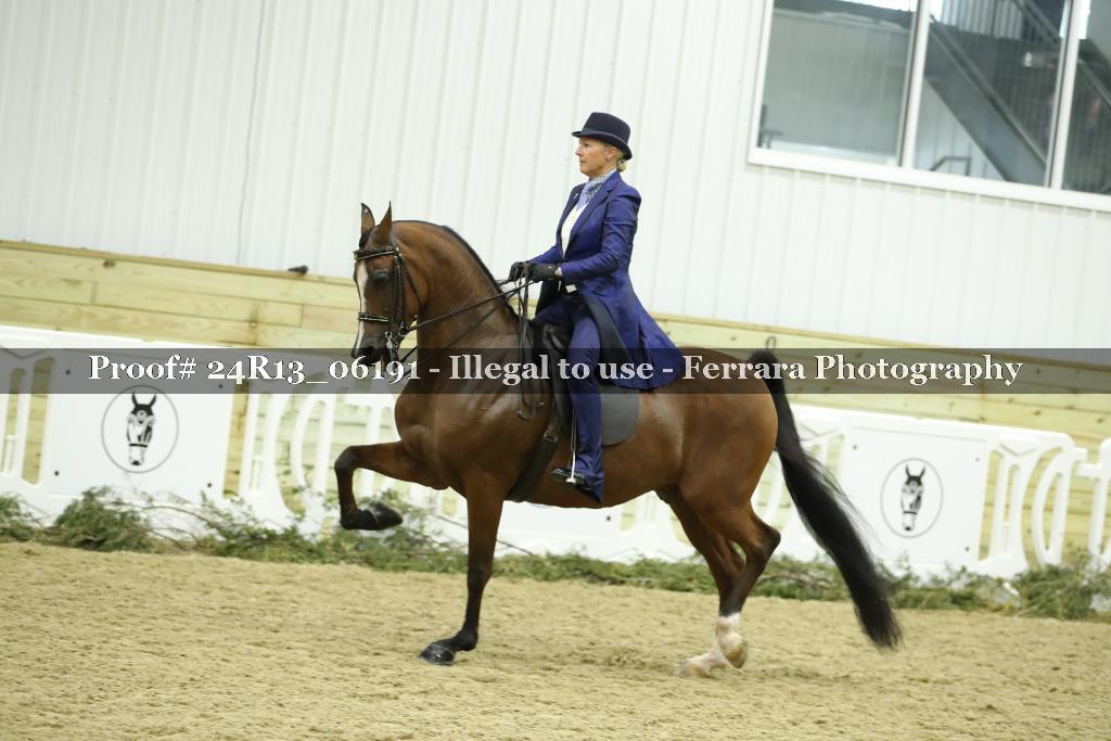 Proof Number 24R13_06191