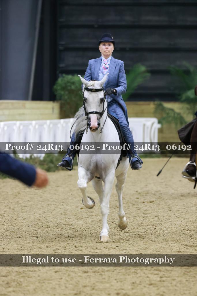 Proof Number 24R13_06192
