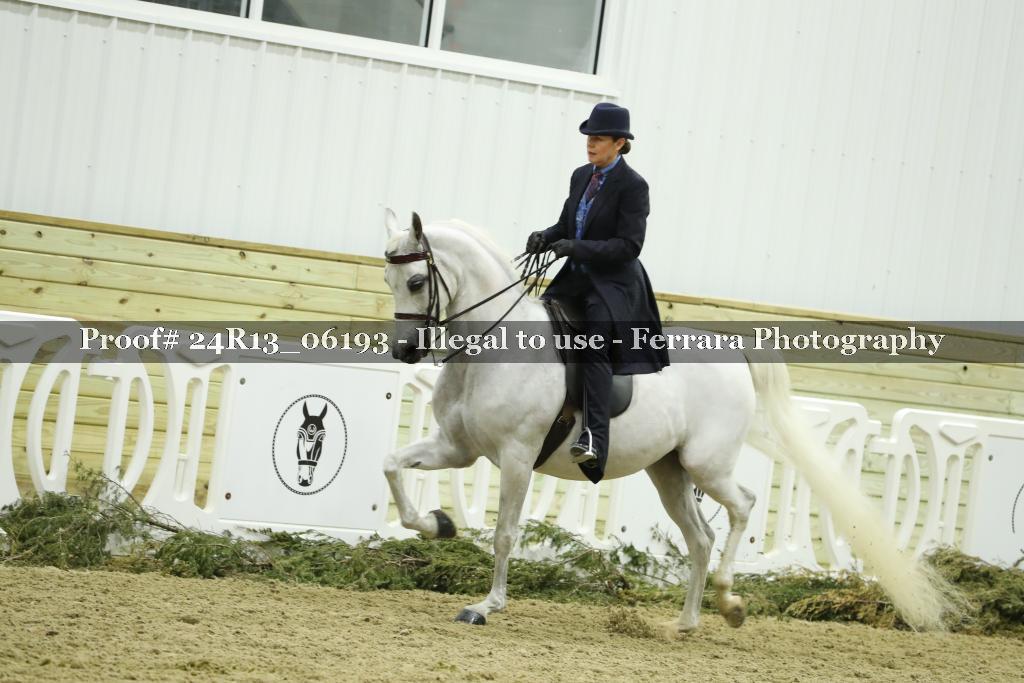 Proof Number 24R13_06193