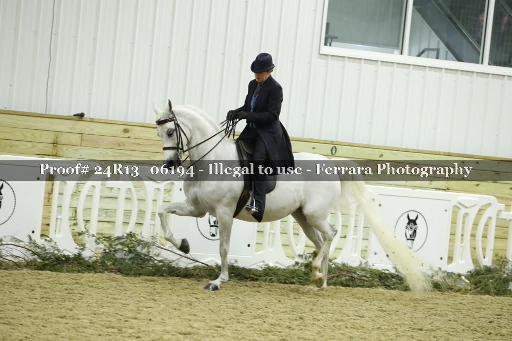 Proof Number 24R13_06194