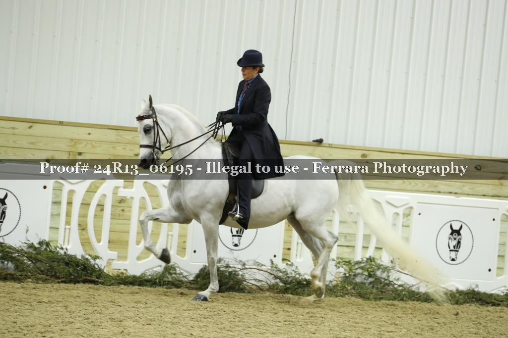 Proof Number 24R13_06195