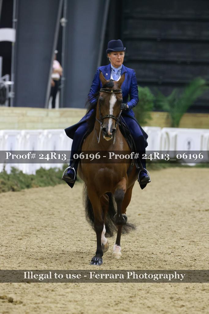 Proof Number 24R13_06196