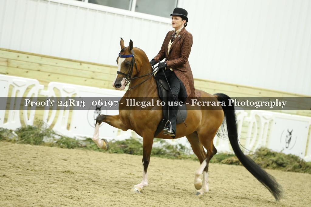 Proof Number 24R13_06197