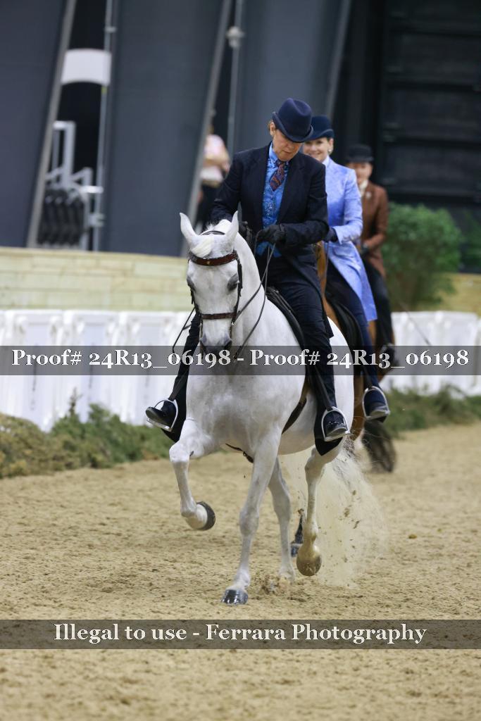 Proof Number 24R13_06198