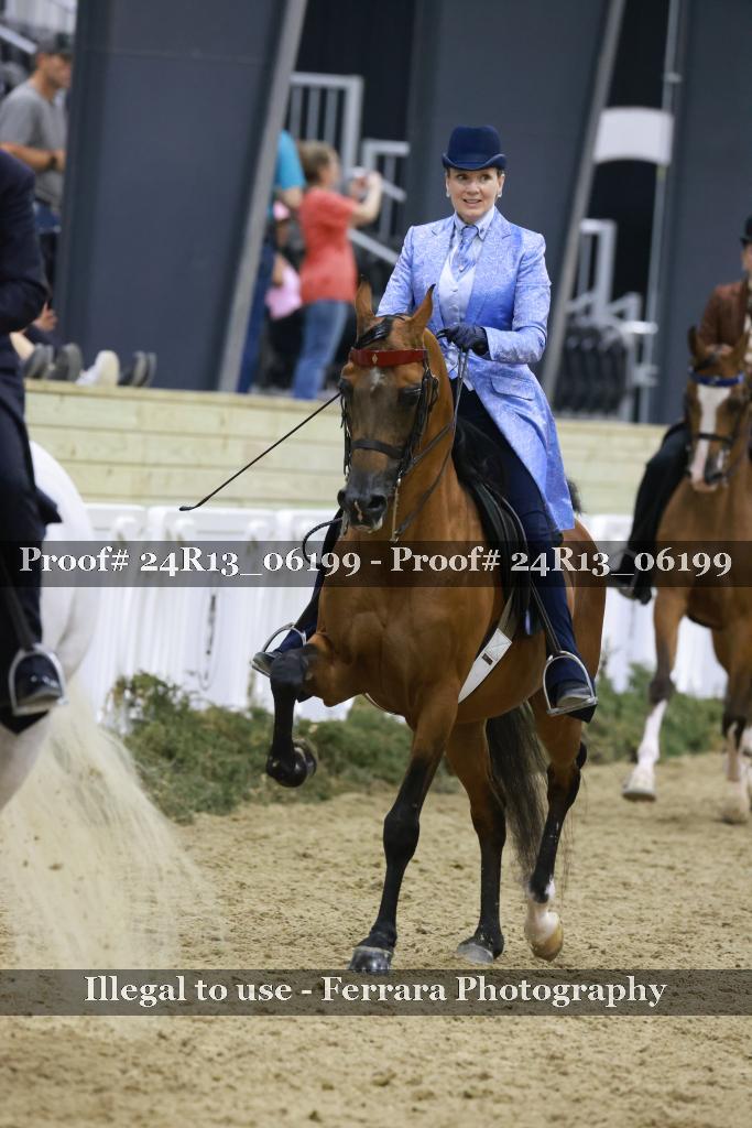 Proof Number 24R13_06199