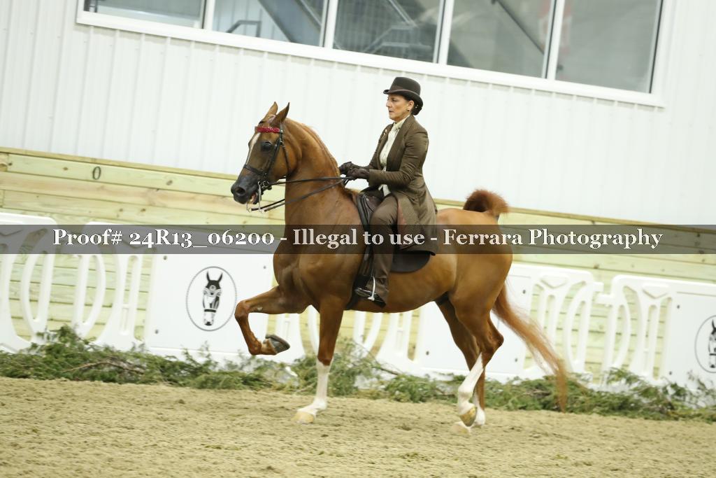 Proof Number 24R13_06200