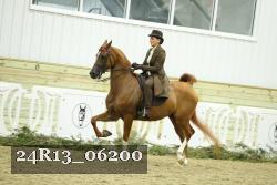 24R13_06200 thumbnail