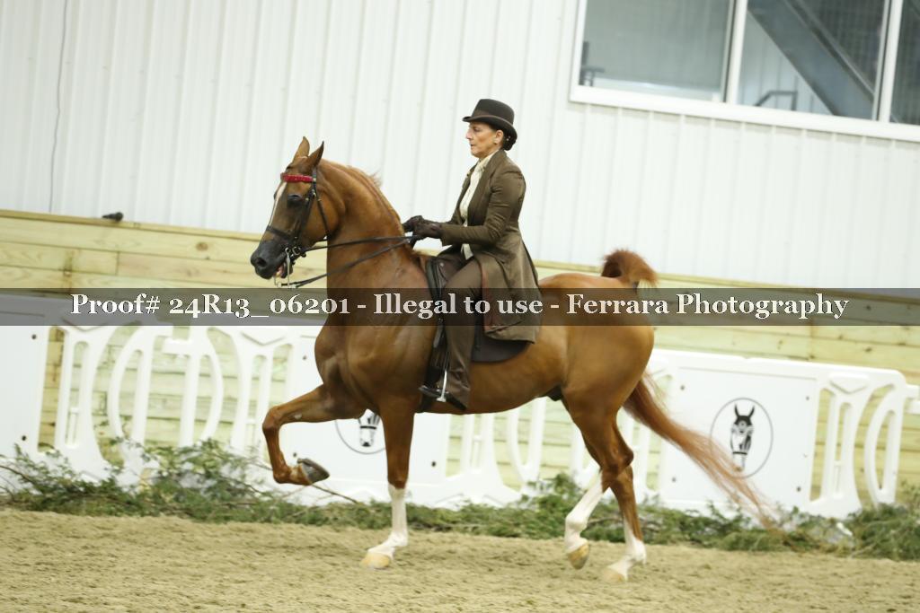 Proof Number 24R13_06201