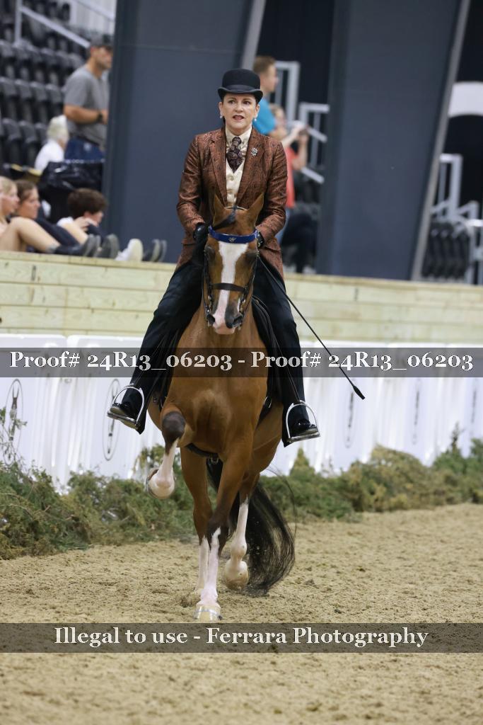 Proof Number 24R13_06203
