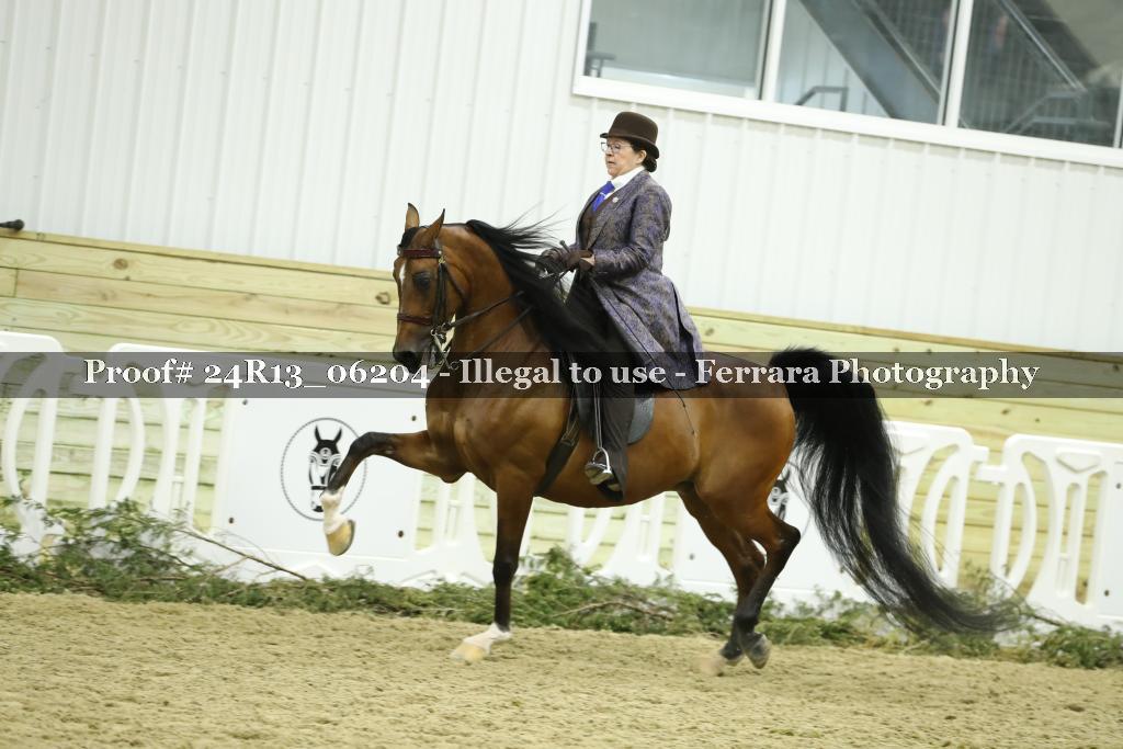 Proof Number 24R13_06204
