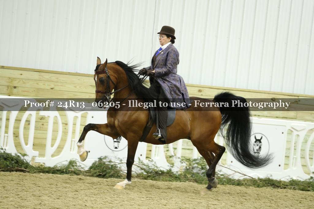 Proof Number 24R13_06205