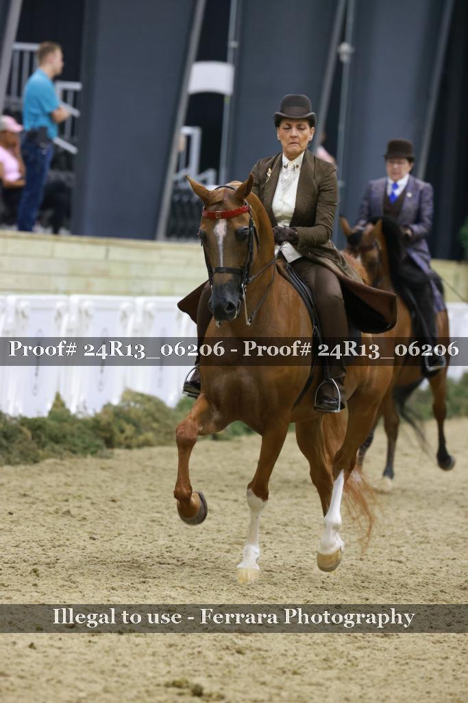 Proof Number 24R13_06206