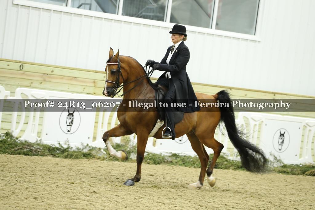 Proof Number 24R13_06207