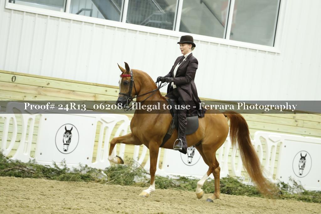 Proof Number 24R13_06208