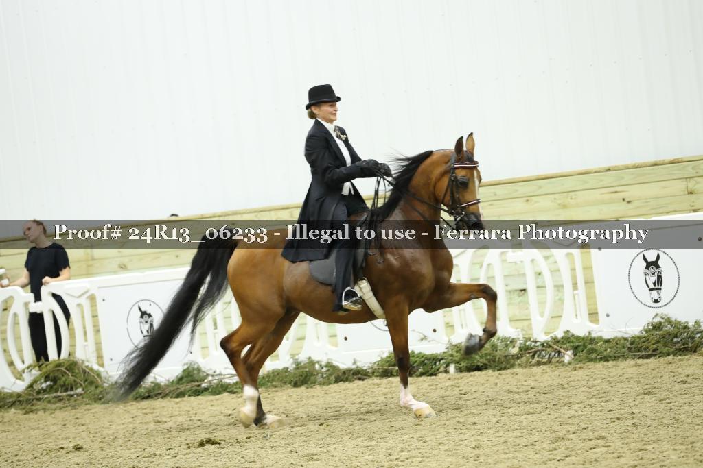 Proof Number 24R13_06233