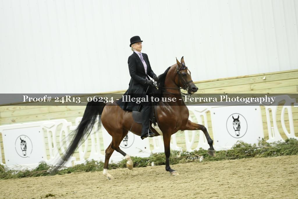 Proof Number 24R13_06234