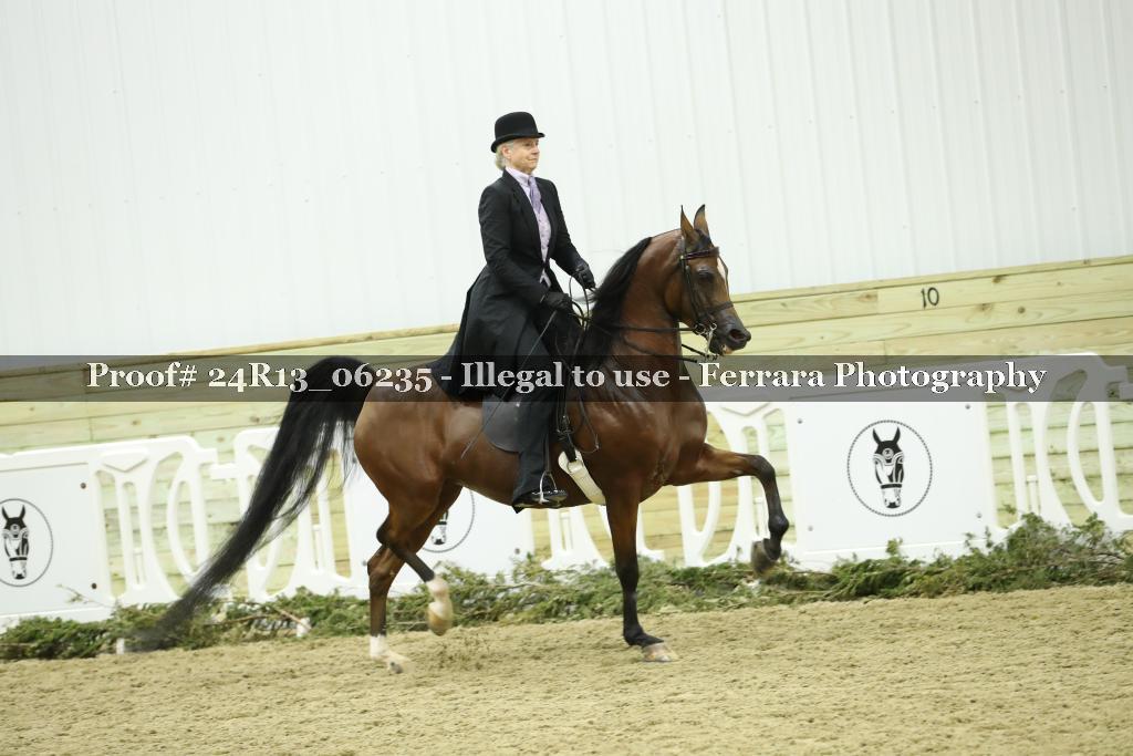 Proof Number 24R13_06235