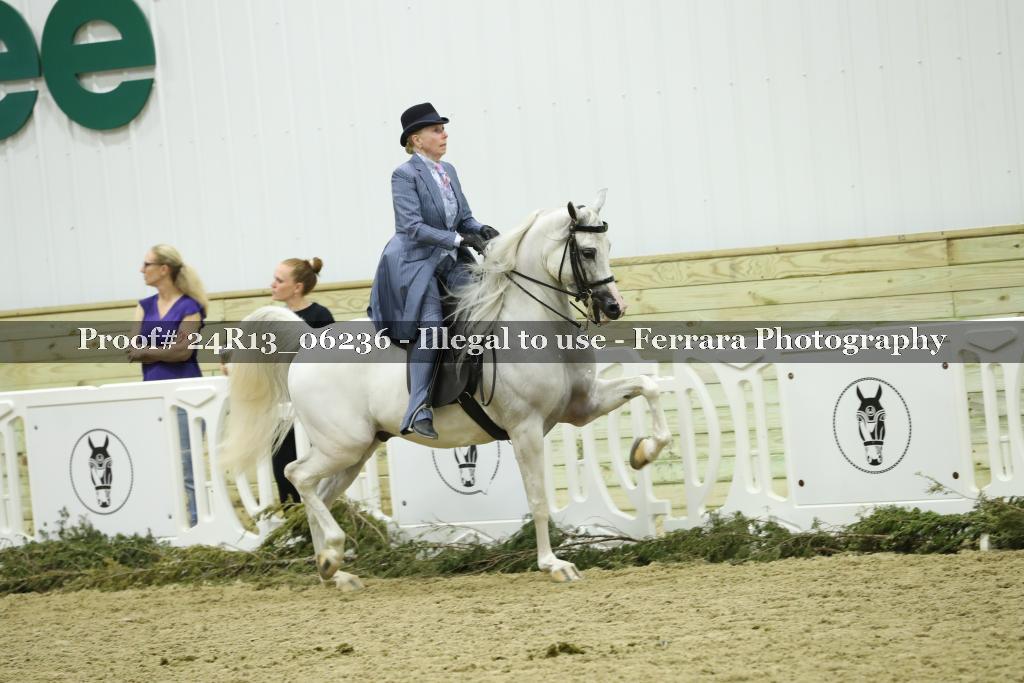 Proof Number 24R13_06236