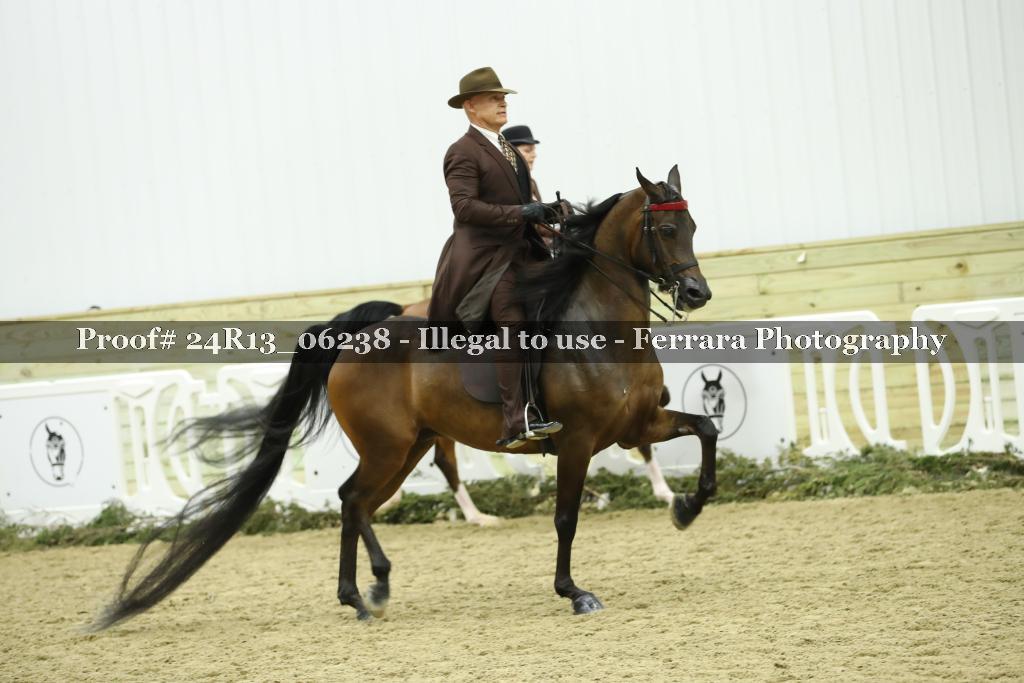 Proof Number 24R13_06238