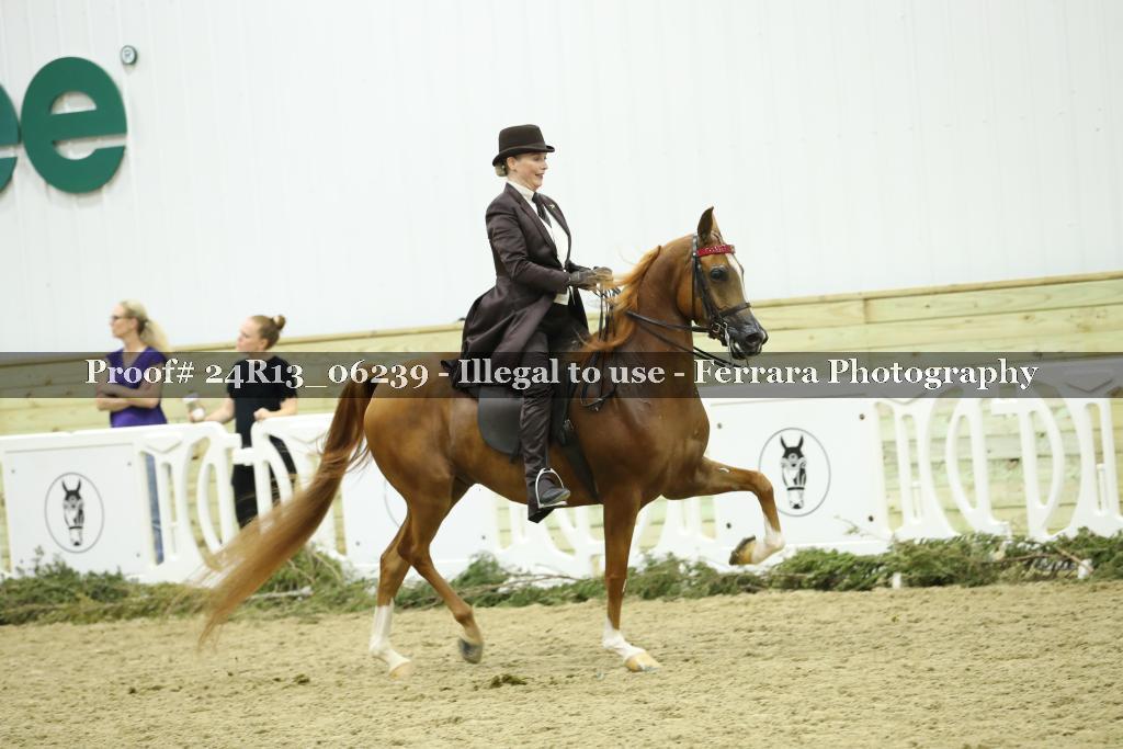 Proof Number 24R13_06239