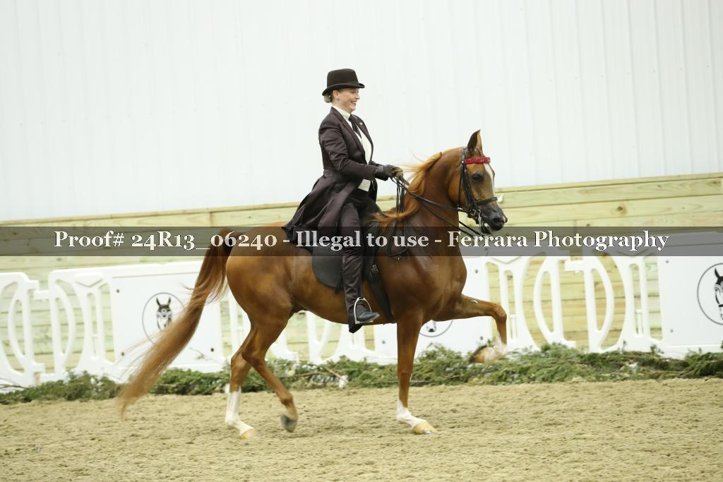 Proof Number 24R13_06240