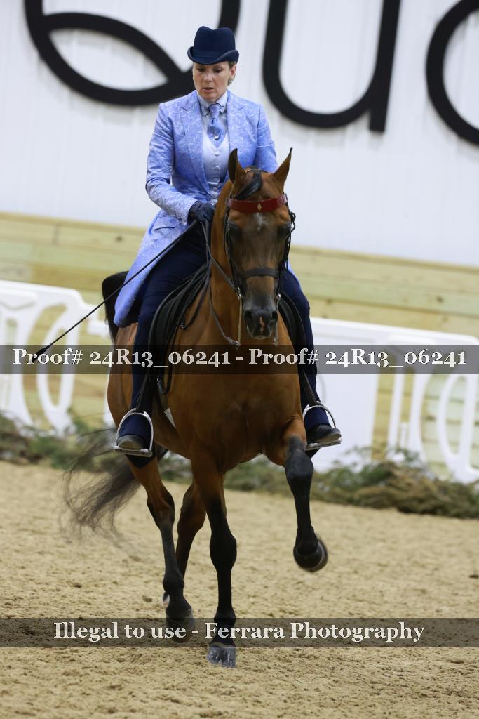 Proof Number 24R13_06241