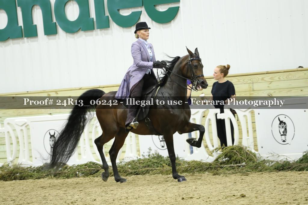 Proof Number 24R13_06242